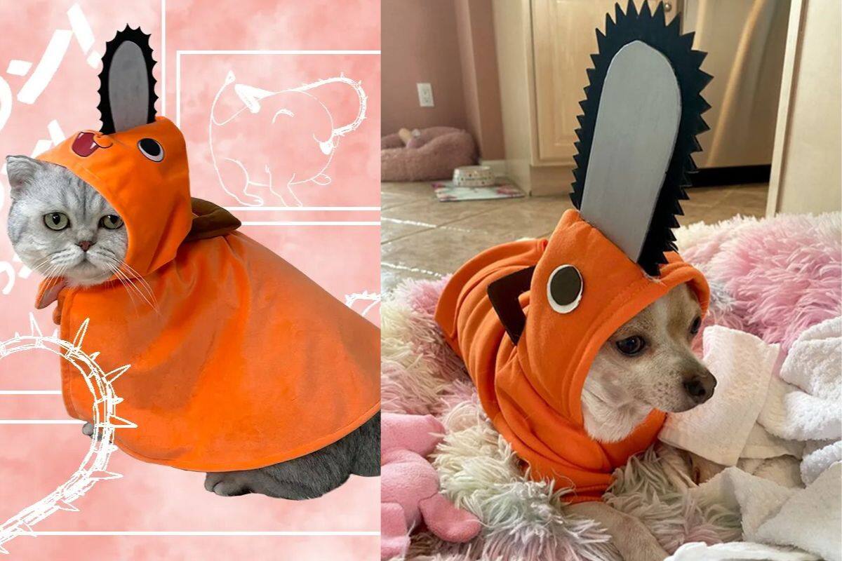 Adorable y genial.