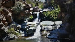 Por solo $1.000: Este destino a 1 hora de Santiago es perfecto para capear el calor