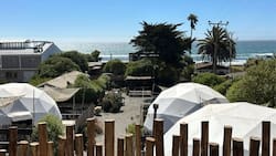 A 2 horas de Santiago: Estos increíbles domos son perfectos para visitar en primavera