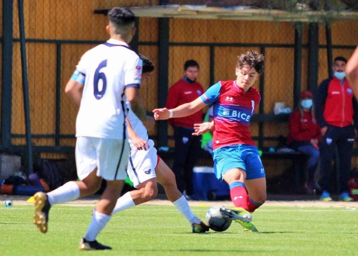 Llegará a Reforzar a Magallanes