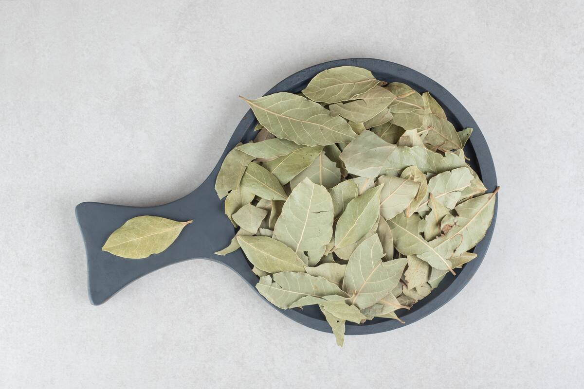 Infusión de laurel y canela