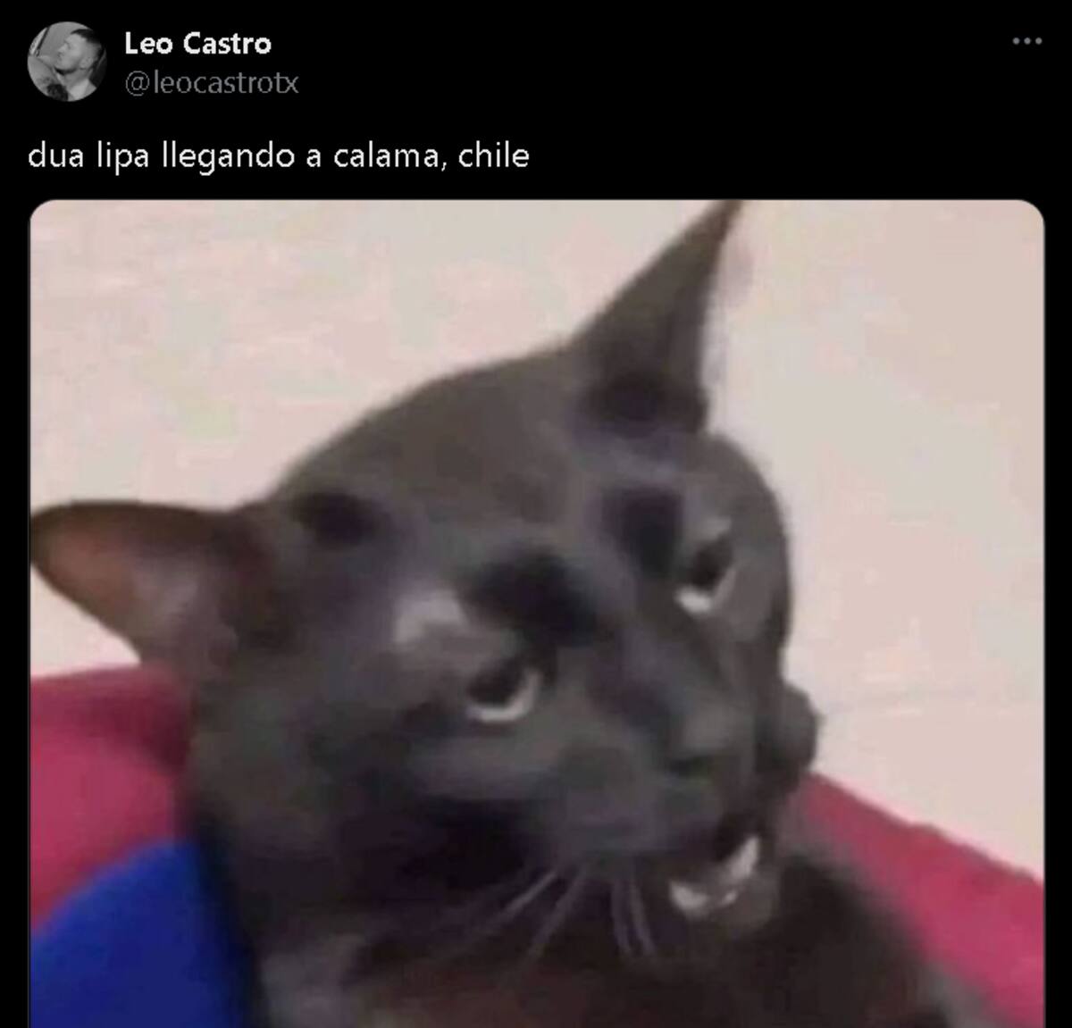Los memes que dejó la visita de la cantante.