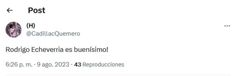 Los comentarios sobre el cometido de Echeverría