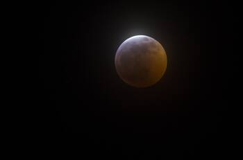 Eclipse total de luna en Chile: ¿Cuáles son los mejores horarios para verlo?