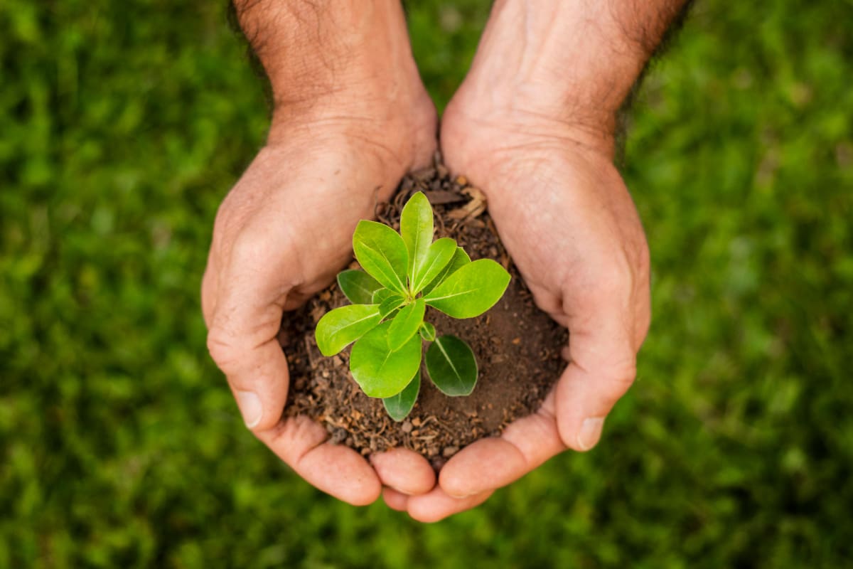 El cuidado del planeta se ha vuelto vital ante el aumento desmedido del calentamiento global.