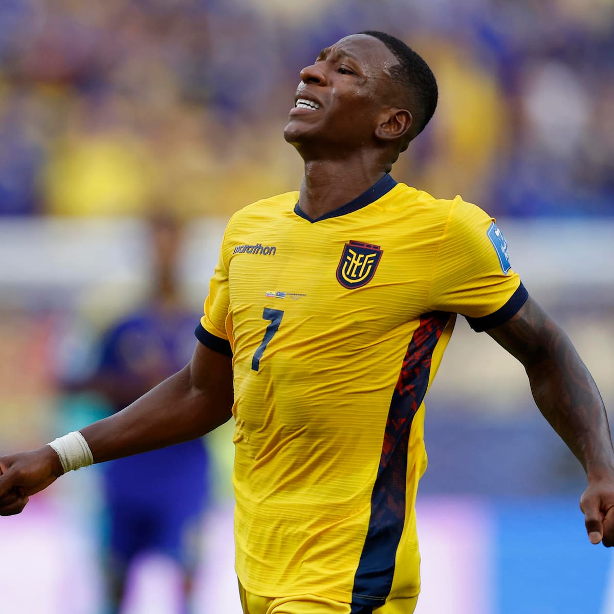 Guerra total en el Mundial: Ecuador presenta denuncia formal ante la FIFA contra México por graves fallas de seguridad