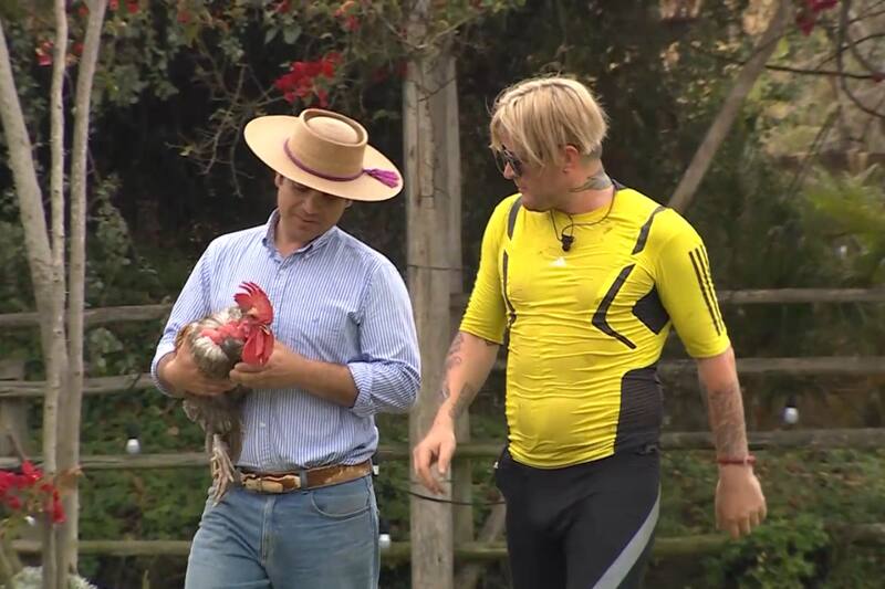 Así fue la llegada del nuevo gallo de "Tierra Brava".