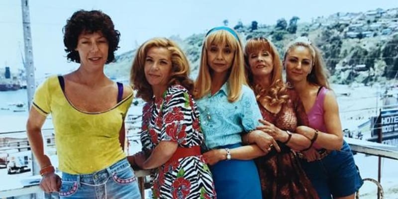 La serie contaba con grandes intérpretes como Claudia Di Girolamo, Delfina Guzmán, Amparo Noguera, Claudia Cabezas, entre otras.