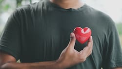 Harvard define cuáles son los mejores ejercicios para la salud del corazón