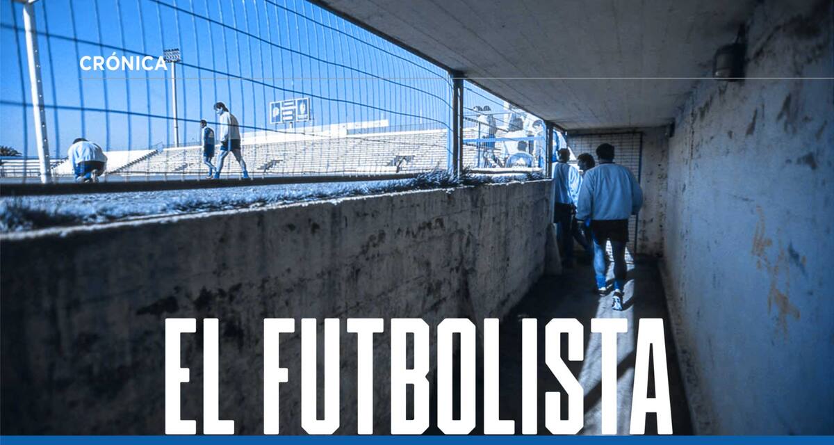 Crónica de Chomsky.