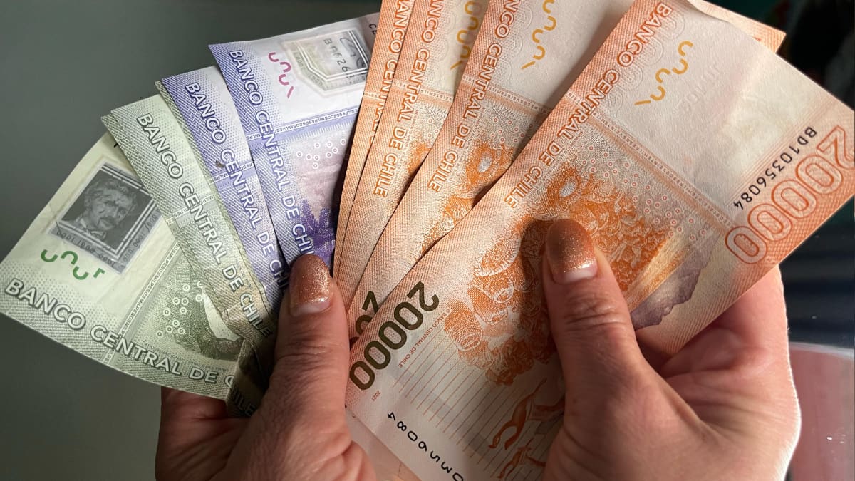 Gobierno paga $224.000 mensuales a personas entre 18 y 64 años: consulta con RUT si puedes recibirlo