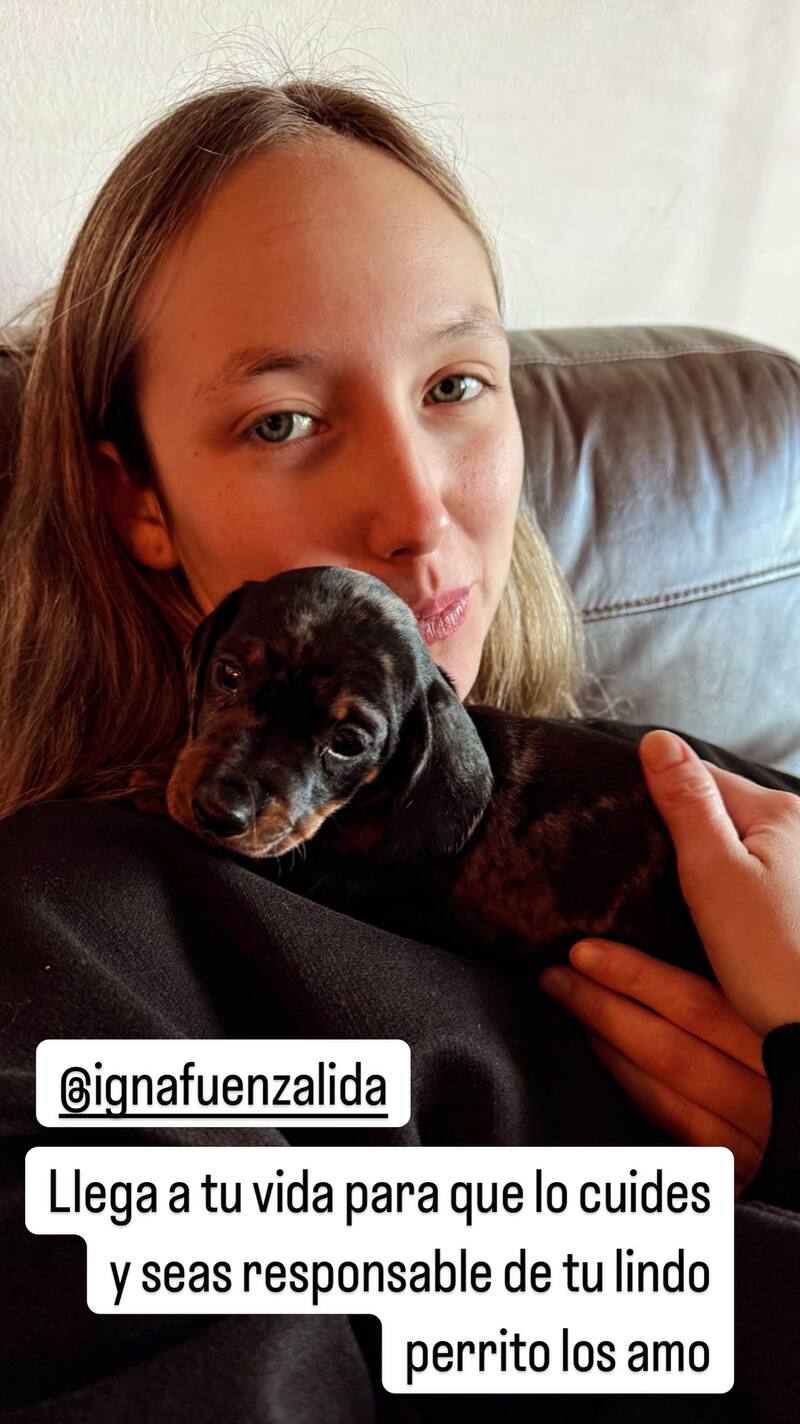 Esta es la historia de Instagram en donde mostró la nueva mascota. Créditos: @exhuevo.