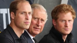 El Rey Carlos y el Príncipe William rompen el silencio con un sorpresivo gesto hacia Harry en su 40º cumpleaños