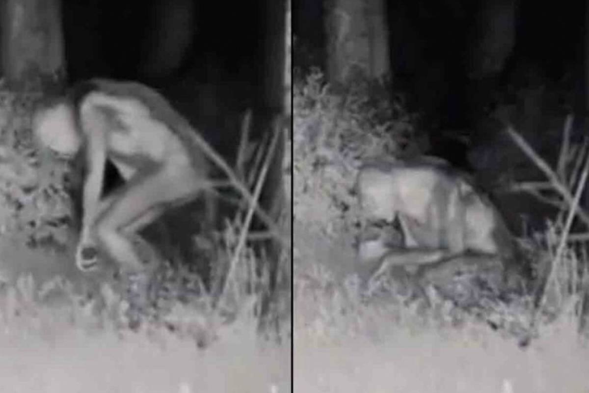 Un sitio habría revelado la verdad respecto al clip