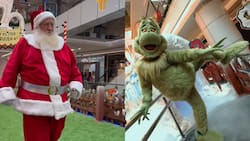 ¿El Viejito Pascuero o el Grinch?: Ven a conocerlos a ambos en un panorama imperdible en la Región Metropolitana