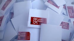 Elección Consejo Constituyente: Revisa las fechas clave y cuándo son las votaciones