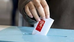 Elecciones Presidenciales 2025: Conoce con tu RUT el local y mesa de votación para este domingo 14 de diciembre