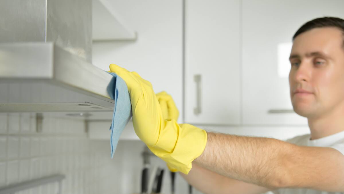Cuatro trucos caseros para eliminar las hormigas de forma natural y sin químicos