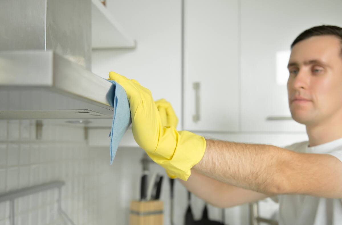 Cuatro trucos caseros para eliminar las hormigas de forma natural y sin químicos