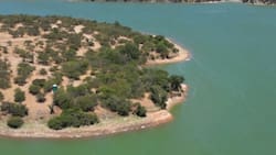 A 2 horas de Santiago: Este embalse de agua color verde esmeralda es perfecto para visitar con la familia en verano