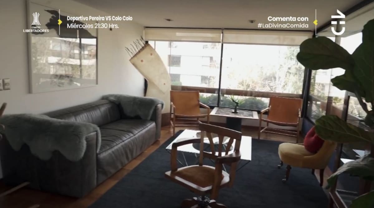 El living de su casa decorado con el arte de su familia / CHV