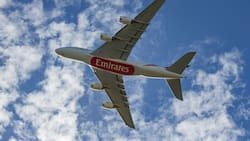 Aerolínea Emirates busca trabajadores en Chile y pagan casi $3 millones: Estos son los requisitos que buscan