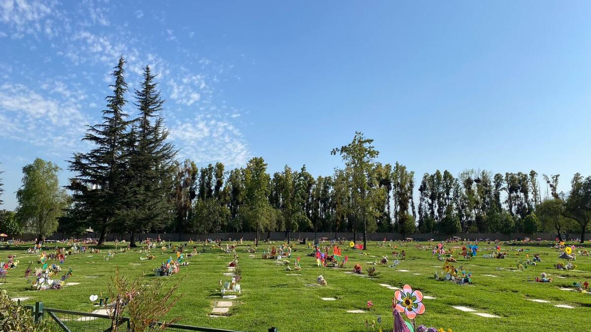 Firma dueña de cementerios demanda por más de mil millones a empresa chilena distribuidora de Internet