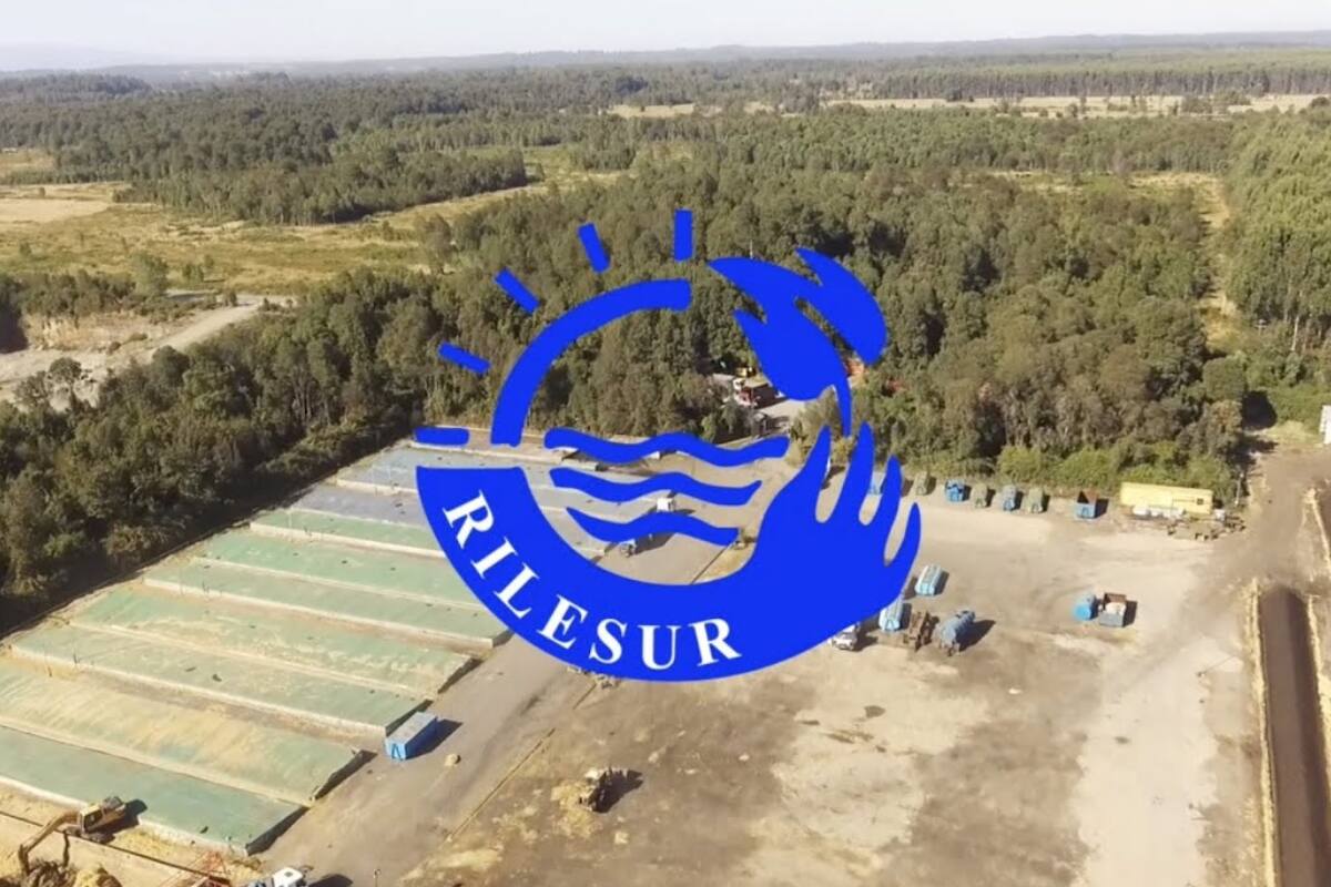 Rilesur deberá pagar millonaria multa.