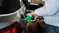 Enap confirmó significativa caída en el precio de los combustibles: ¿cuánto bajaron?