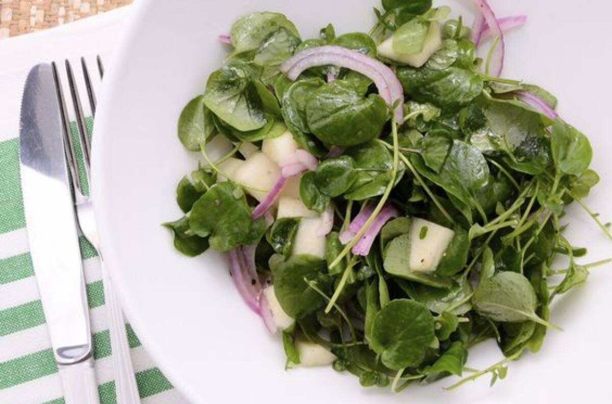 Este es el alimento más saludable del mundo y así puedes incluirlo en tu dieta