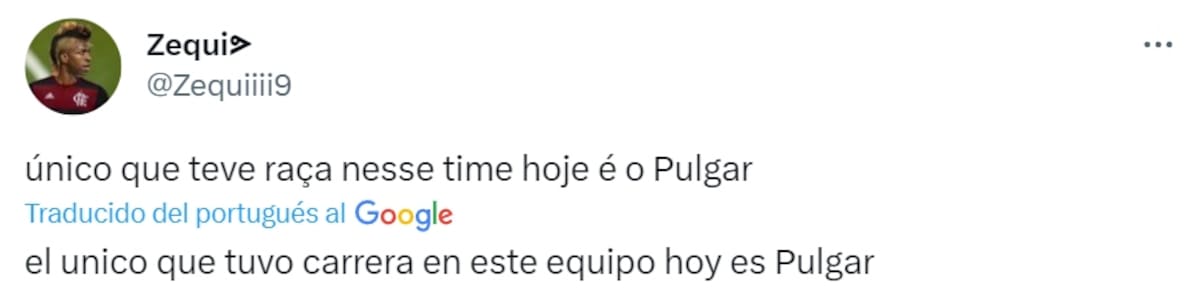 Elogios para Pulgar