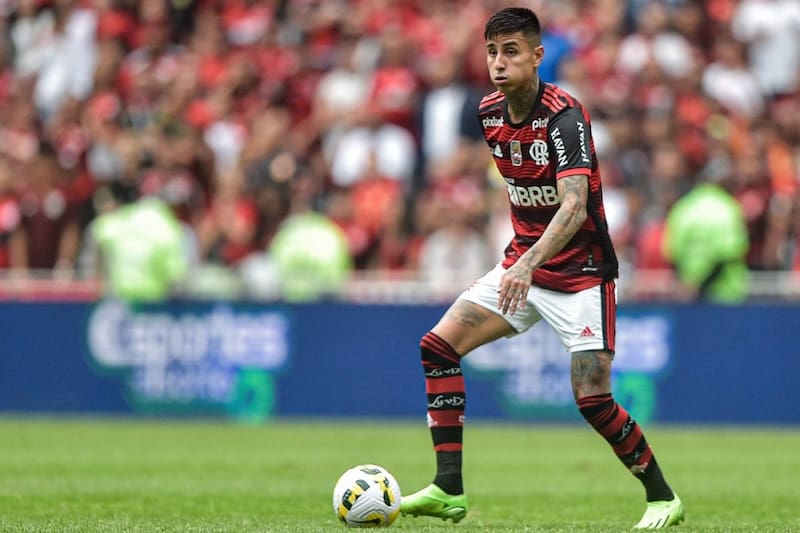 Erick Pulgar