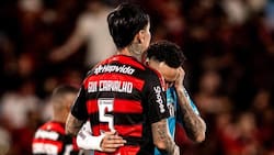 “Erick Pulgar es para cualquier selección del mundo”: En Flamengo le lanzan indirecta a Nicolás Córdova