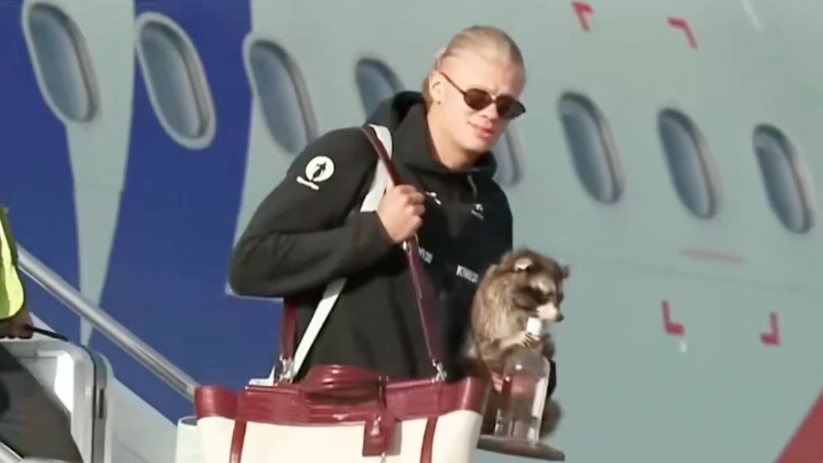 VIDEO | ¡Fiel a su estilo! Erling Haaland volvió a Noruega con un mapache disecado