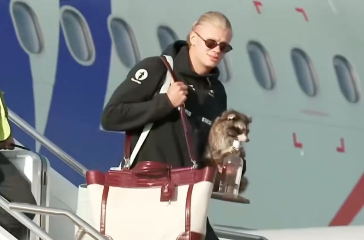 VIDEO | ¡Fiel a su estilo! Erling Haaland volvió a Noruega con un mapache disecado