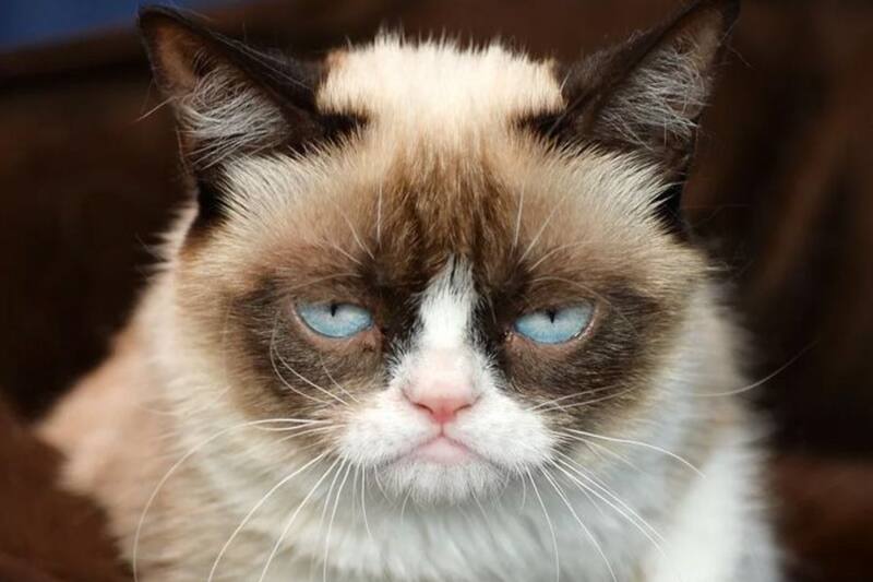 Escorpio es un signo de agua que se caracteriza por ser alguien muy intenso y apasionado en sus relaciones.