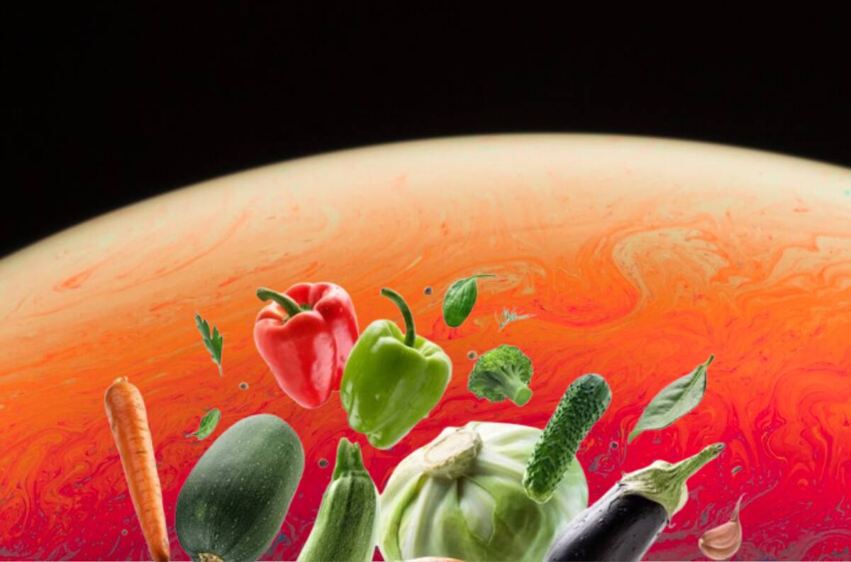 ¿Comida en Marte?: Científicos chilenos cultivan vegetales que podrían sobrevivir en el planeta rojo