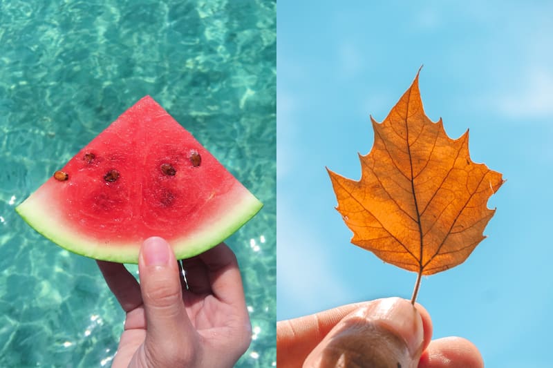 ¿Cuándo termina el verano y comienza el otoño? Créditos: Pexels