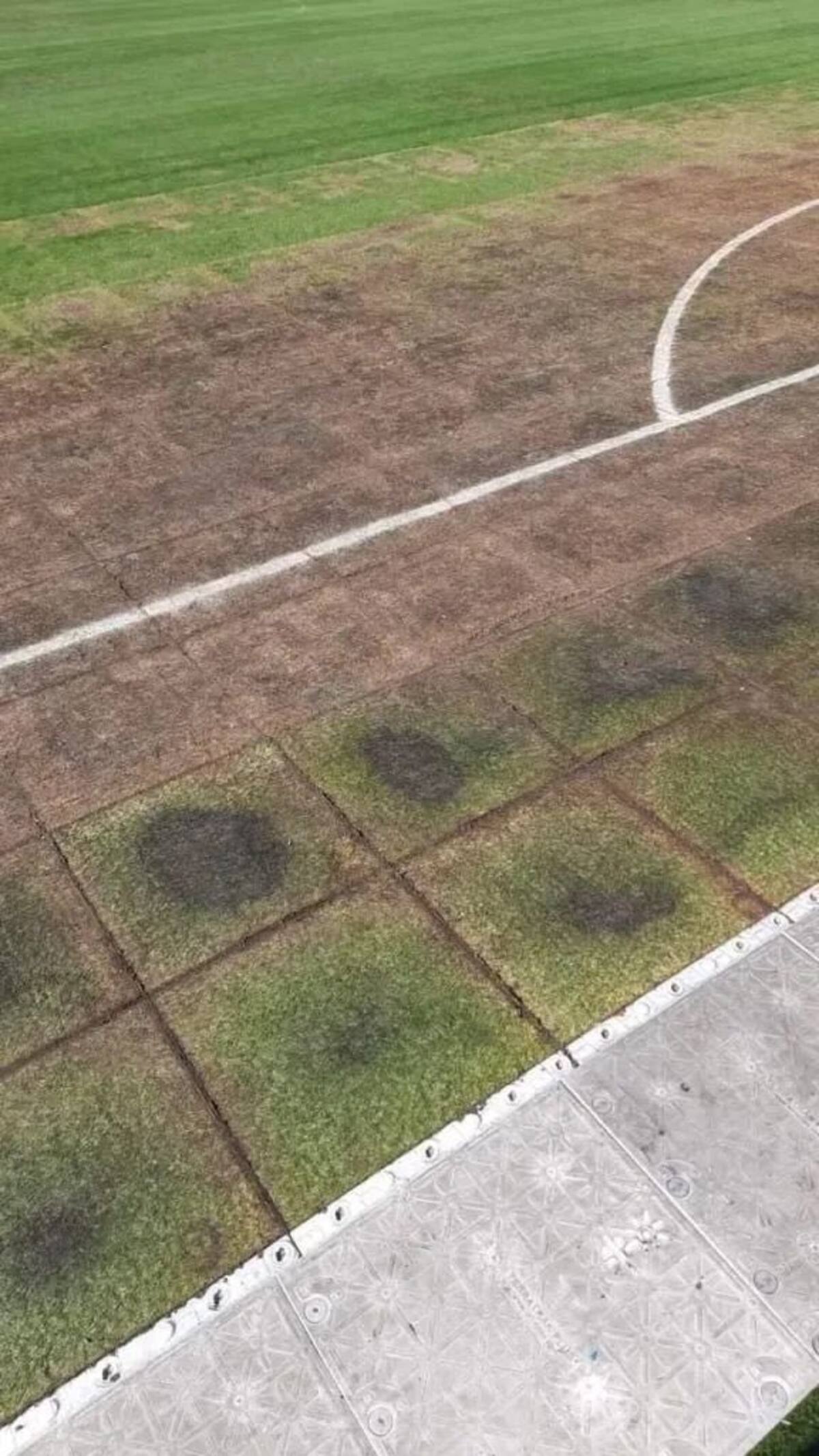 Así luce la cancha del Estadio Monumental a tres días del partido entre Colo Colo y Unión Española
