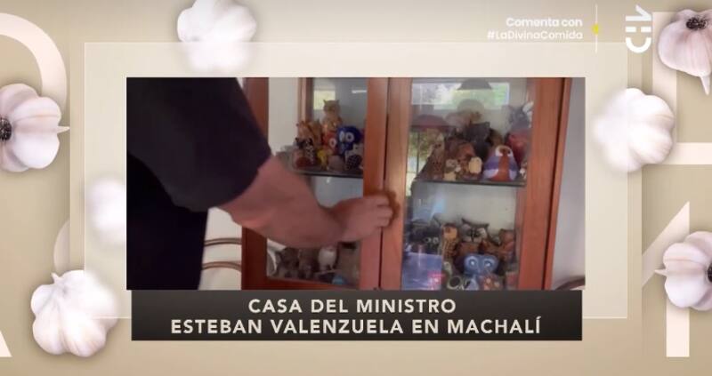 La colección de búhos de Esteban Valenzuela. Foto: CHV.