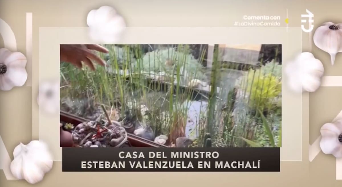 El humedal. Foto: CHV.