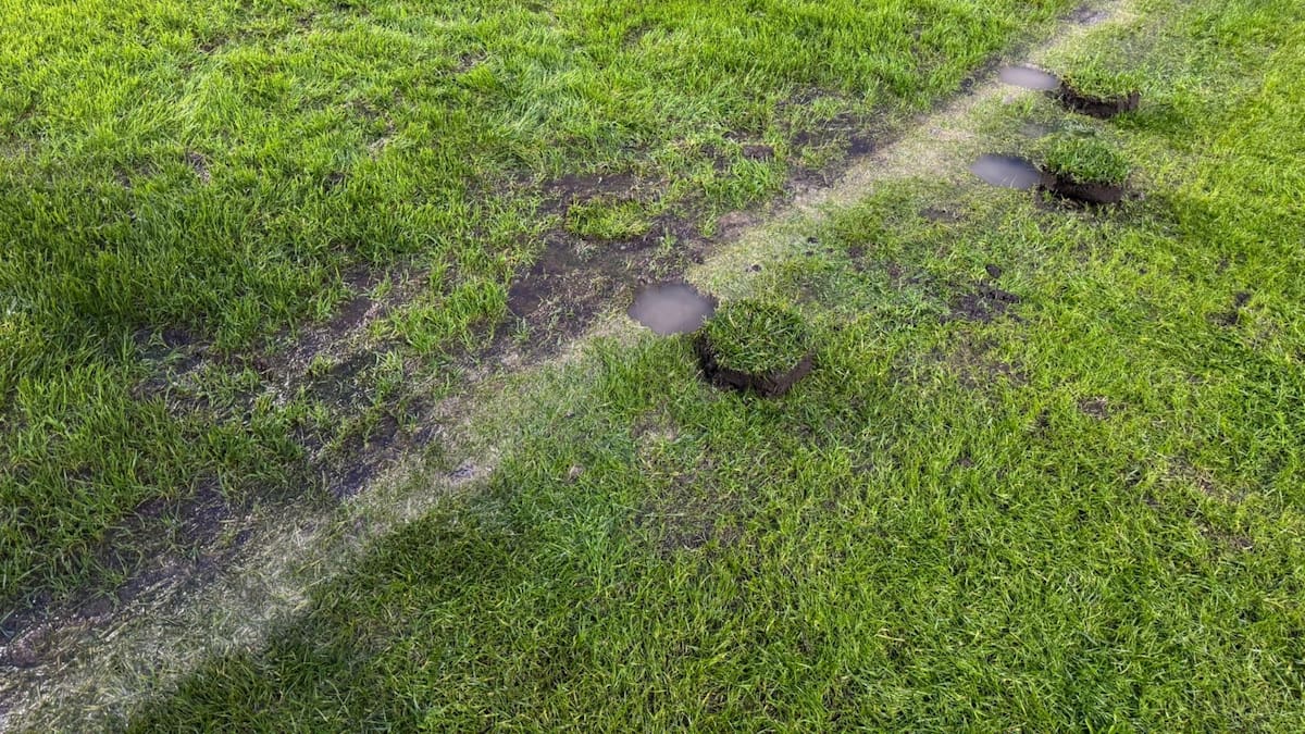 VIDEO | Se juega: así estará la cancha del Estadio Ester Roa para el partido de Deportes Concepción vs. O’higgins