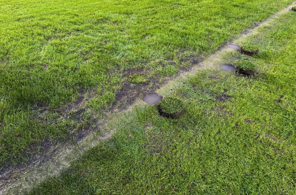 VIDEO | Se juega: así estará la cancha del Estadio Ester Roa para el partido de Deportes Concepción vs. O’higgins