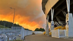 Se evalúan medidas: incendios forestales en el Biobío ponen en duda el regreso del fútbol a Concepción