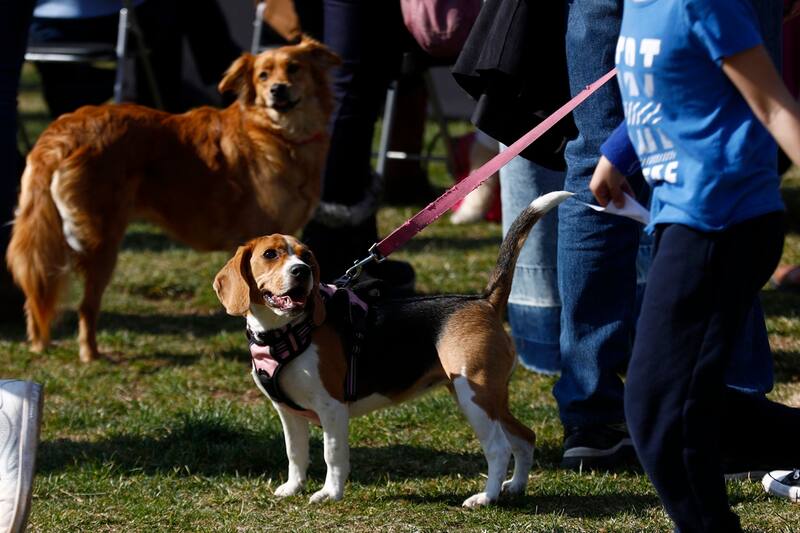 Se pueden prevenir enfermedades con esta operación.