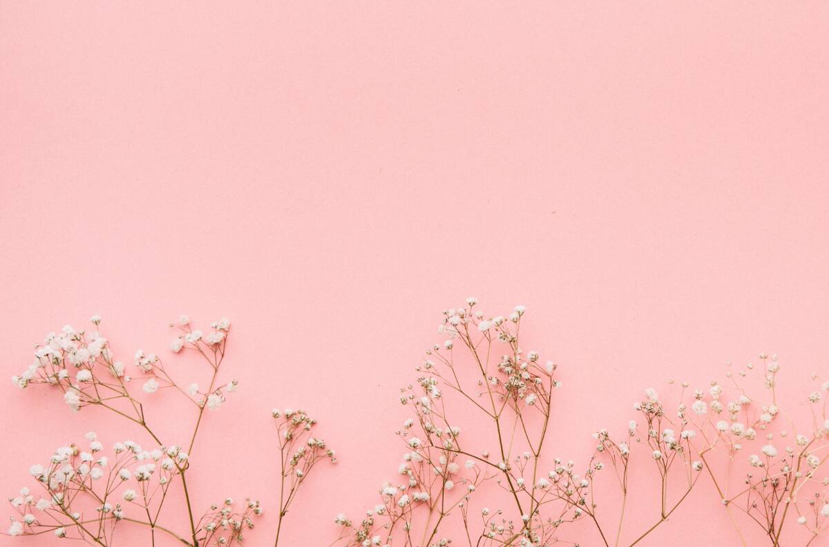 ¿Te gusta el color rosado? Esto dice de tu personalidad, según la IA