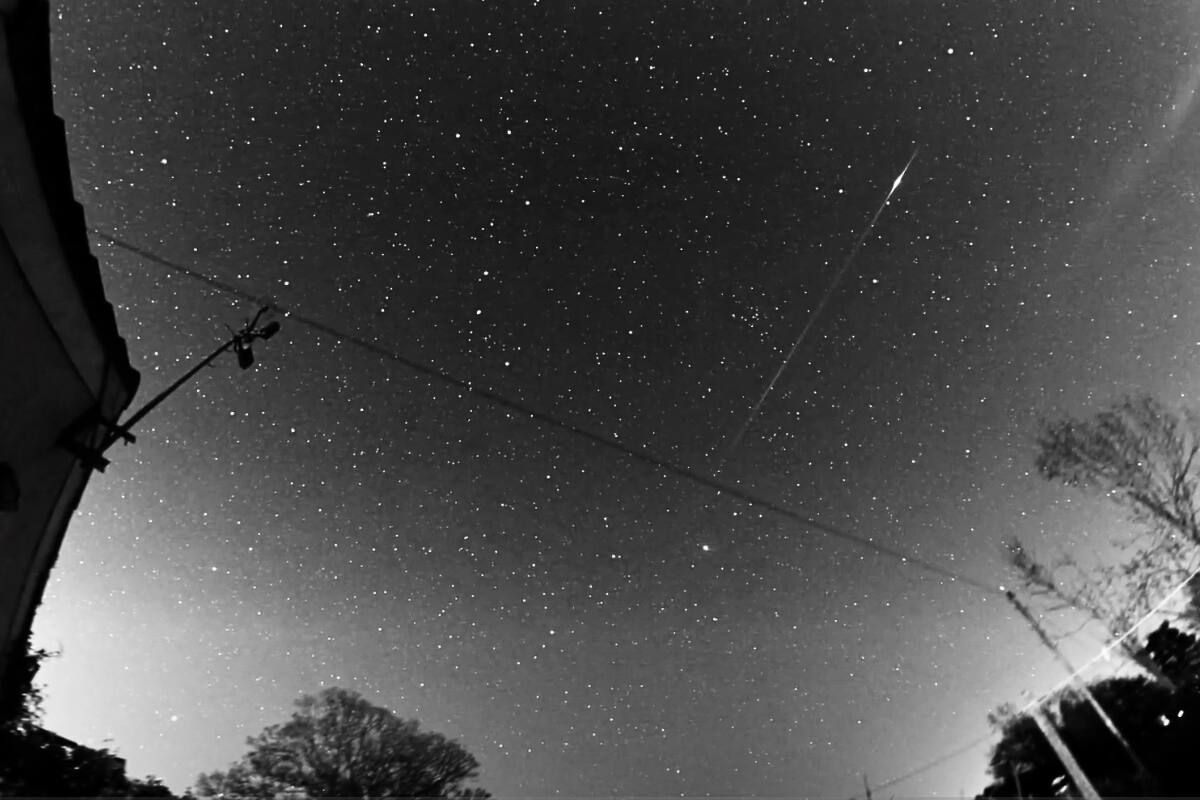 Se espera que este nuevo cometa descubierto sea el próximo en observarse en el cielo.