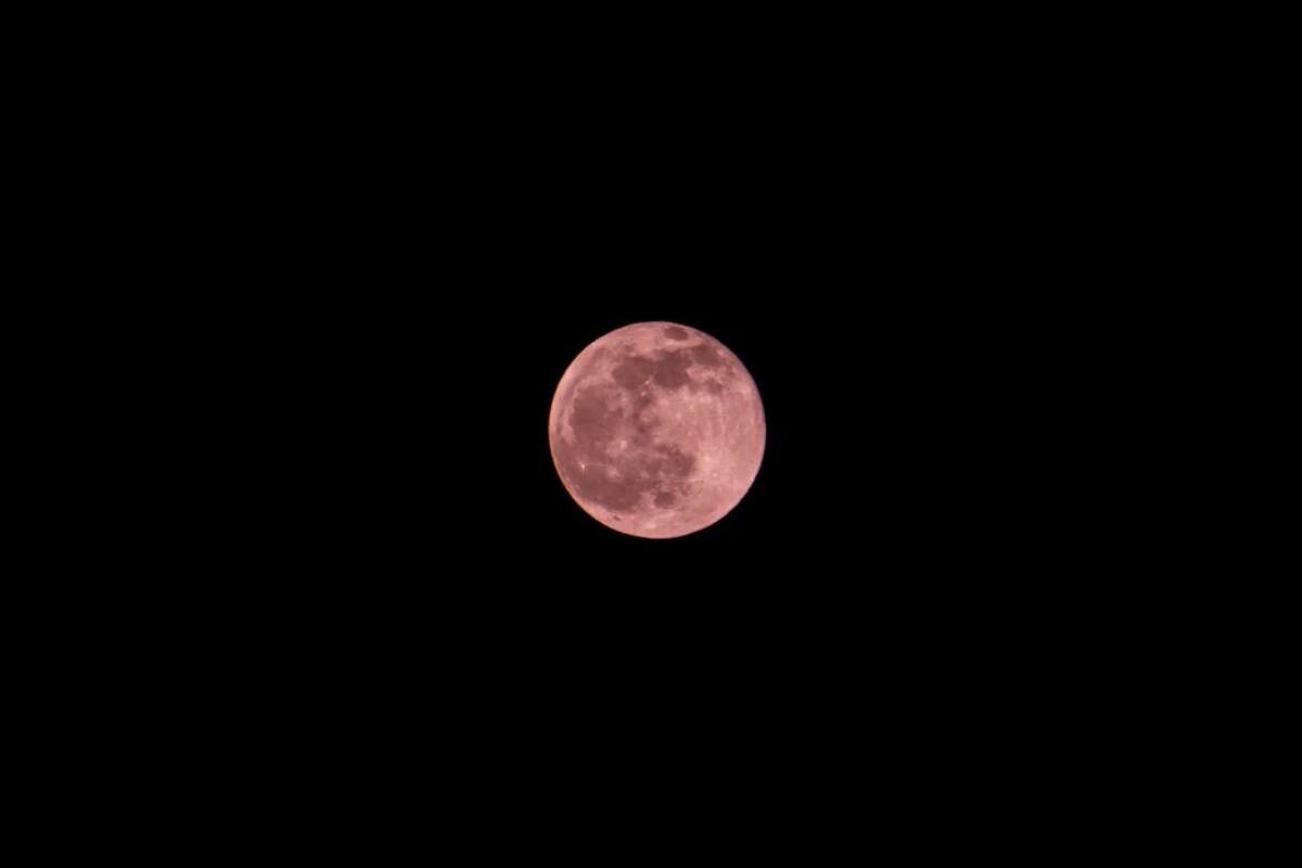 Este mes se verá la Luna Rosa.
