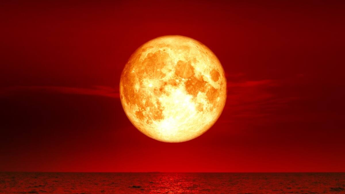 Lluvia de estrellas, dos Lunas de sangre y eclipses solares: Conoce los eventos astronómicos que marcarán el 2025