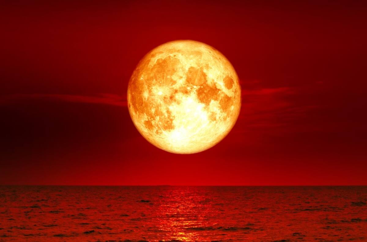 Lluvia de estrellas, dos Lunas de sangre y eclipses solares: Conoce los eventos astronómicos que marcarán el 2025